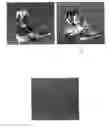 Fig. 01 - Method of rendering cross images unobservable particularly in projected or printed photographic reproductions, and reproduction thus obtained