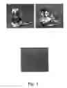 Fig. 02 - Method of rendering cross images unobservable particularly in projected or printed photographic reproductions, and reproduction thus obtained