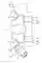 Fig. 01 - Movement Device