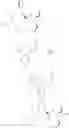 Fig. 294 - Triazolyl macrocyclic hepatitis C serine protease inhibitors