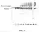 Fig. 09 - Method for production of recombinant human thrombin