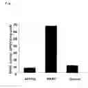 Fig. 02 - Prophylactic/Therapeutic Agent for Cancer