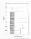 Fig. 01 - Pharmaceutical composition for improving anxious behaviors of animals and method for preparing the same