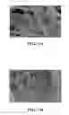 Fig. 02 - Partially fluorinated ureas and amides