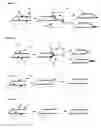 Fig. 02 - Method of manufacturing a sandwich panel and a sandwich panel as such