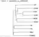 Fig. 09 - Compositions comprising a ligand of Chemerin R