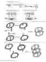 Fig. 01 - BULK NEGATIVE INDEX OF REFRACTION MATERIALS WITH RESPONSE IN THE VISIBLE
