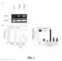 Fig. 02 - Plant pathogen resistance