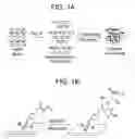 Fig. 02 - Clays pre-activated with intercalated polymerization initiation sites