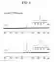 Fig. 07 - Clays pre-activated with intercalated polymerization initiation sites