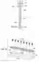 Fig. 07 - Spinal Fusion Implants with Selectively Applied Bone Growth Promoting Agent