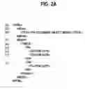 Fig. 03 - Method for organizing structurally similar web pages from a web site