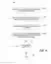 Fig. 05 - SELECTIVE PROCESSING OF INFORMATION FROM A DIGITAL COPY OF A DOCUMENT FOR DATA ENTRY