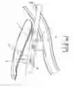 Fig. 02 - Pedal adjustable device for exercisers