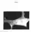 Fig. 13 - Cermet insert and cutting tool
