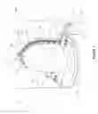 Fig. 02 - Diving helmet