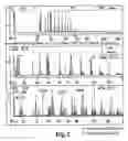 Fig. 03 - Corrosion resistant substrate and method for producing the same