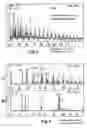 Fig. 04 - Corrosion resistant substrate and method for producing the same