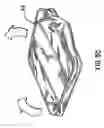 Fig. 07 - Collapsible structures