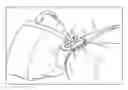 Fig. 01 - Security seal for latch and hasp closure