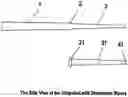 Fig. 01 - Chopstick with disposable sleeve