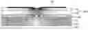 Fig. 01 - Plasma display panel having dielectric layer providing improved discharge efficiency