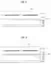 Fig. 06 - Plasma display panel having dielectric layer providing improved discharge efficiency