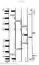 Fig. 07 - Method for the acquisition of data relating to multi-dimensional NMR spectra by means of frequency-dependent convolution