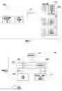 Fig. 02 - METHODS AND SYSTEMS OF USING RADIO FREQUENCY IDENTIFICATION TAGS
