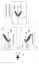 Fig. 08 - Antenna back-lobe rejection