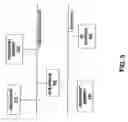 Fig. 07 - Satellite communication system constituted with primary and back-up multi-beam satellites