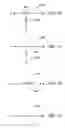 Fig. 13 - Multiband antenna for handheld electronic devices