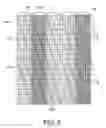 Fig. 06 - STEREOSCOPIC IMAGE DISPLAY APPARATUS