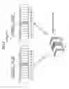 Fig. 07 - IMAGE DISPLAY APPARATUS