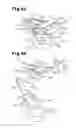 Fig. 44 - Maintenance device for liquid ejection head and liquid ejection apparatus