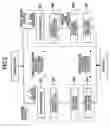 Fig. 06 - Imaging method and inkjet recording apparatus