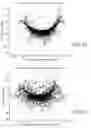 Fig. 49 - Establishing and maintaining focus in segmented-optic telescopes