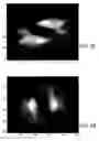 Fig. 53 - Establishing and maintaining focus in segmented-optic telescopes