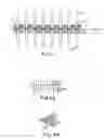 Fig. 04 - Optical antenna array for harmonic generation, mixing and signal amplification
