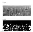 Fig. 02 - Lens sheet, process for producing the same, and resin composition for transfer material