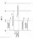 Fig. 04 - Method of providing information of neighbor base station by mobile subscriber station in broadband wireless access system