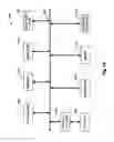 Fig. 12 - Customizing guest room by transmission of control information corresponding to guest preferences to in-room systems via network of hospitality structure
