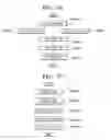 Fig. 30 - Transmitter and system for transmitting/receiving digital broadcasting stream and method thereof