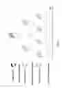 Fig. 02 - Method for shaping frames of a video sequence