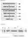 Fig. 06 - Decoding apparatus and decoding method