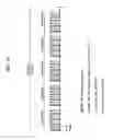Fig. 13 - Digital broadcasting system and method of processing data in digital broadcasting system