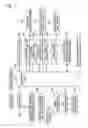 Fig. 04 - Unit for X-ray CT imaging and X-ray imaging apparatus