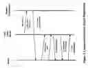Fig. 04 - Near field registration of home system audio-video device