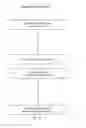 Fig. 07 - Secure remote support automation process