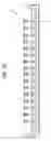 Fig. 07 - Audio conferencing apparatus